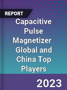 Capacitive Pulse Magnetizer Global and China Top Players Market