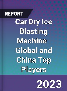 Car Dry Ice Blasting Machine Global and China Top Players Market