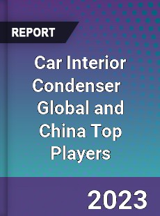 Car Interior Condenser Global and China Top Players Market