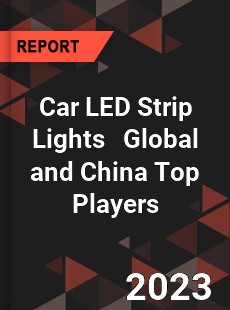 Car LED Strip Lights Global and China Top Players Market