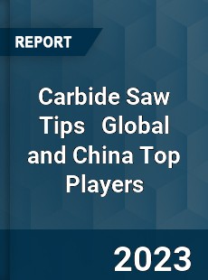 Carbide Saw Tips Global and China Top Players Market