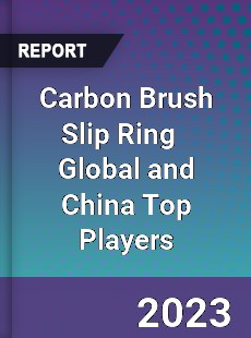 Carbon Brush Slip Ring Global and China Top Players Market