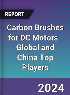 Carbon Brushes for DC Motors Global and China Top Players Market