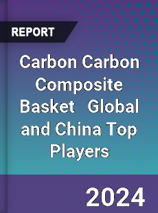 Carbon Carbon Composite Basket Global and China Top Players Market