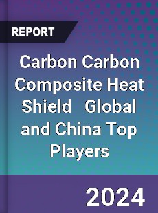 Carbon Carbon Composite Heat Shield Global and China Top Players Market