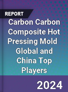 Carbon Carbon Composite Hot Pressing Mold Global and China Top Players Market