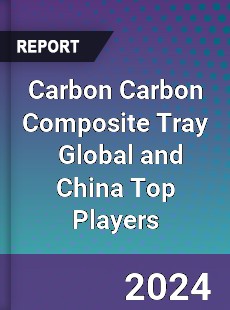 Carbon Carbon Composite Tray Global and China Top Players Market