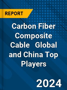 Carbon Fiber Composite Cable Global and China Top Players Market