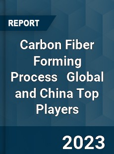 Carbon Fiber Forming Process Global and China Top Players Market