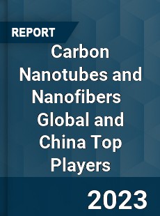 Carbon Nanotubes and Nanofibers Global and China Top Players Market