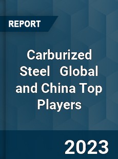 Carburized Steel Global and China Top Players Market