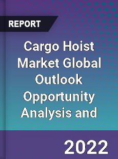 Cargo Hoist Market Global Outlook Opportunity Analysis and