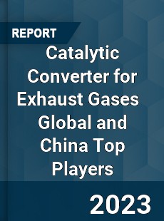 Catalytic Converter for Exhaust Gases Global and China Top Players Market