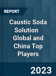 Caustic Soda Solution Global and China Top Players Market