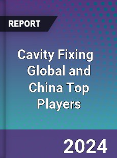 Cavity Fixing Global and China Top Players Market