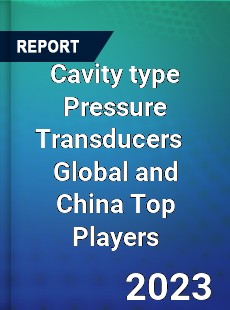 Cavity type Pressure Transducers Global and China Top Players Market