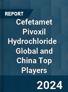 Cefetamet Pivoxil Hydrochloride Global and China Top Players Market