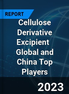 Cellulose Derivative Excipient Global and China Top Players Market