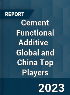 Cement Functional Additive Global and China Top Players Market