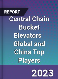 Central Chain Bucket Elevators Global and China Top Players Market