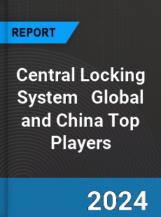 Central Locking System Global and China Top Players Market