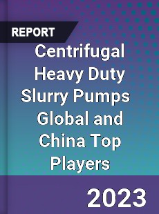 Centrifugal Heavy Duty Slurry Pumps Global and China Top Players Market