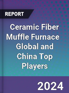 Ceramic Fiber Muffle Furnace Global and China Top Players Market