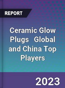 Ceramic Glow Plugs Global and China Top Players Market