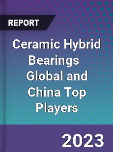 Ceramic Hybrid Bearings Global and China Top Players Market