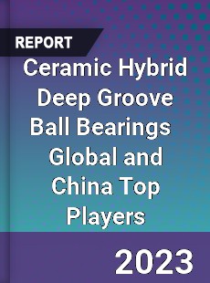 Ceramic Hybrid Deep Groove Ball Bearings Global and China Top Players Market