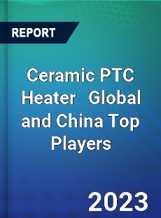 Ceramic PTC Heater Global and China Top Players Market