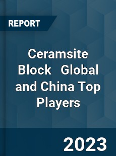 Ceramsite Block Global and China Top Players Market