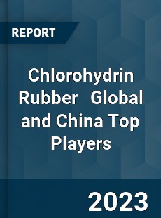 Chlorohydrin Rubber Global and China Top Players Market