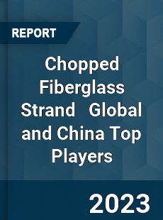 Chopped Fiberglass Strand Global and China Top Players Market