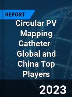 Circular PV Mapping Catheter Global and China Top Players Market