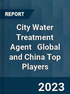 City Water Treatment Agent Global and China Top Players Market