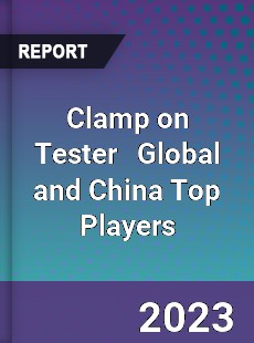 Clamp on Tester Global and China Top Players Market