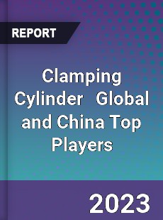 Clamping Cylinder Global and China Top Players Market