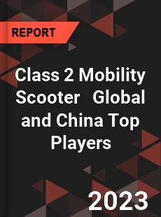 Class 2 Mobility Scooter Global and China Top Players Market