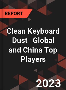 Clean Keyboard Dust Global and China Top Players Market