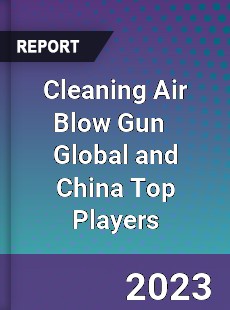 Cleaning Air Blow Gun Global and China Top Players Market