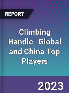 Climbing Handle Global and China Top Players Market