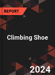 Climbing Shoe Market