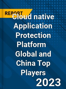 Cloud native Application Protection Platform Global and China Top Players Market