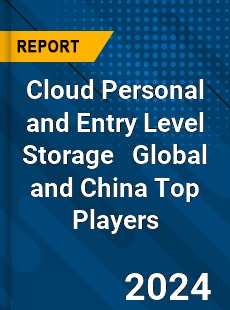 Cloud Personal and Entry Level Storage Global and China Top Players Market