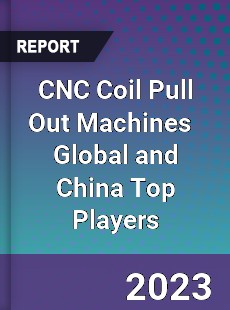 CNC Coil Pull Out Machines Global and China Top Players Market