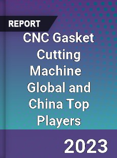 CNC Gasket Cutting Machine Global and China Top Players Market