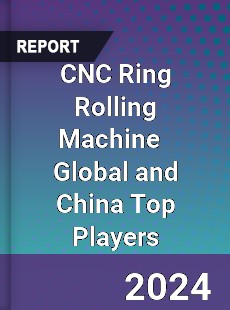 CNC Ring Rolling Machine Global and China Top Players Market