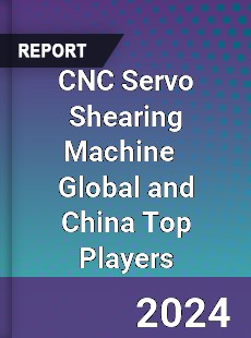 CNC Servo Shearing Machine Global and China Top Players Market