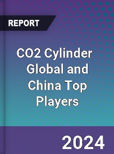 CO2 Cylinder Global and China Top Players Market